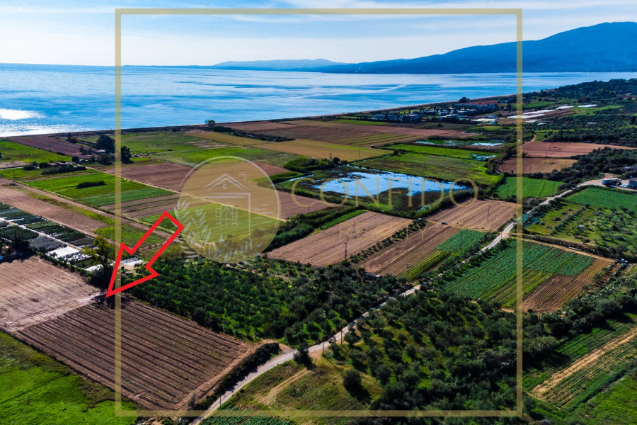 Land, 9460m², Messini (Messinia), 250.000 € | Confido Realty