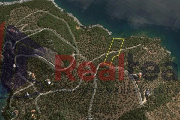 Grundstück / Land, 6000m², Sourpi (Magnisia), 130.000 € | Real Team Volos