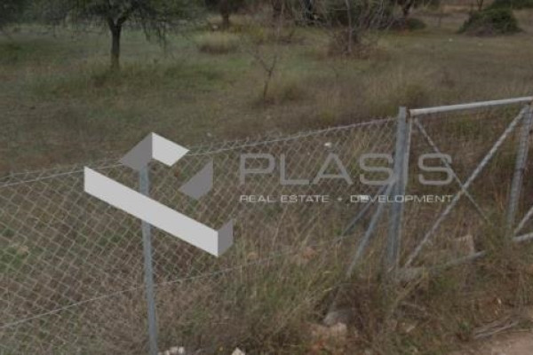 Land, 600m², Koropi (East Athens), 120.000 € | Plasis Real Estate + Development